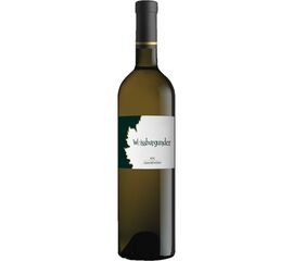 Weissburgunder Graubünden AOC 75 cl