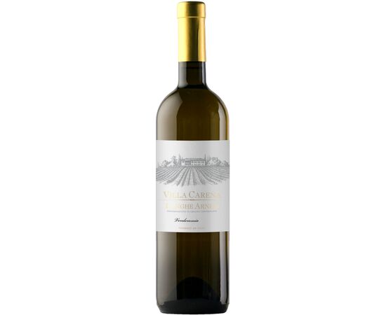 Villa Carena Langhe Arneis DOC