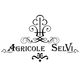 Agricole Selvi, Barberino Tavarnelle
